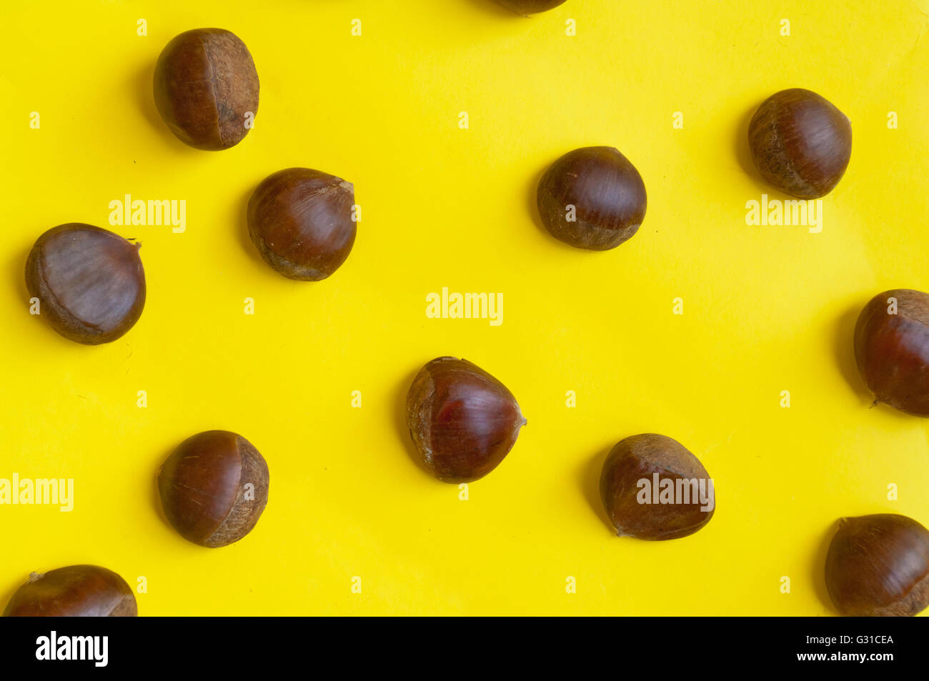 Chestnut pattern on yellow background, top view, horizontal, copy space Stock Photo