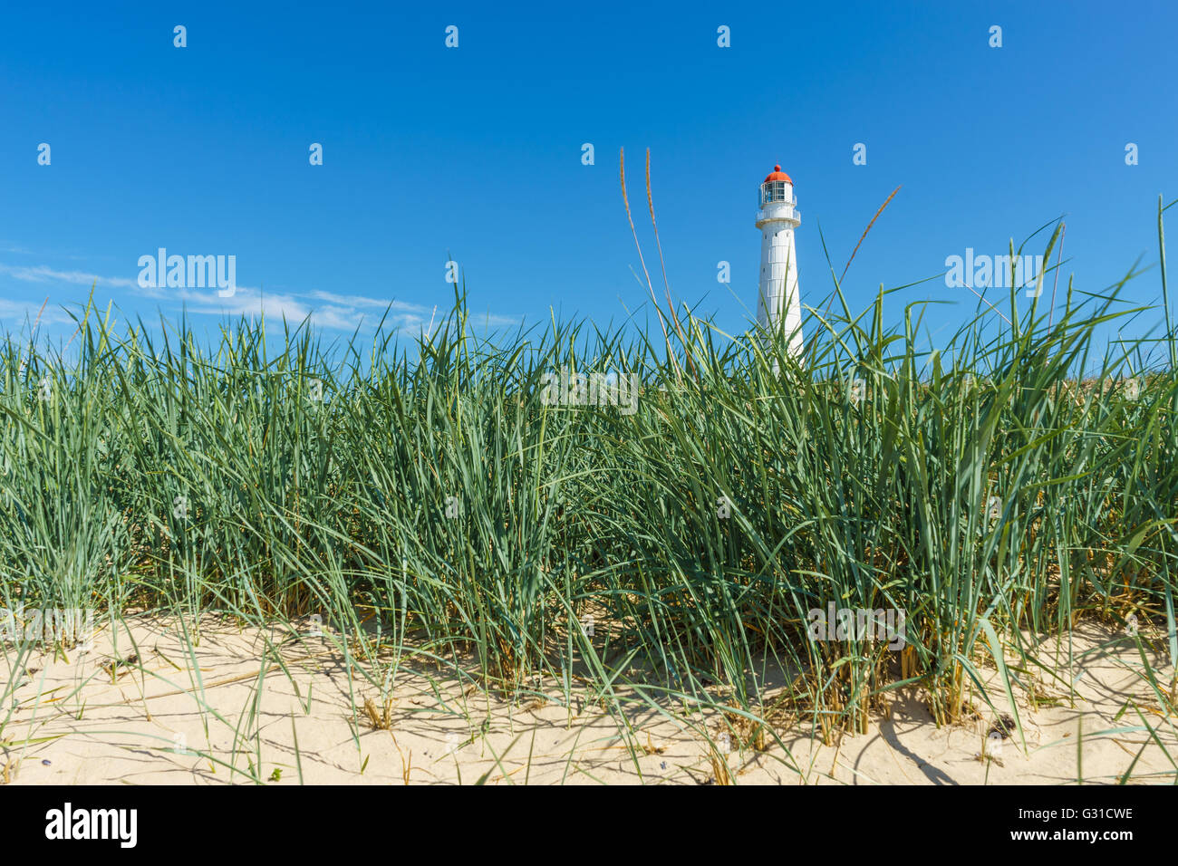 View on Tahkuna lighthouse through sedge grass, Hiiumaa island, Estonia Stock Photo