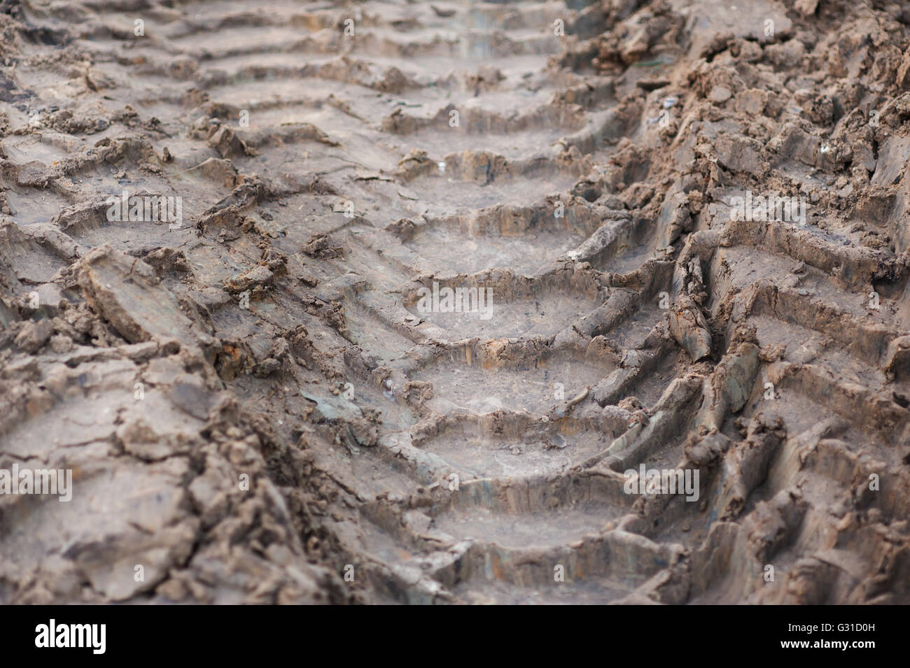 Close-up tire tracks truck on a dirt road in daylight Stock Photo
