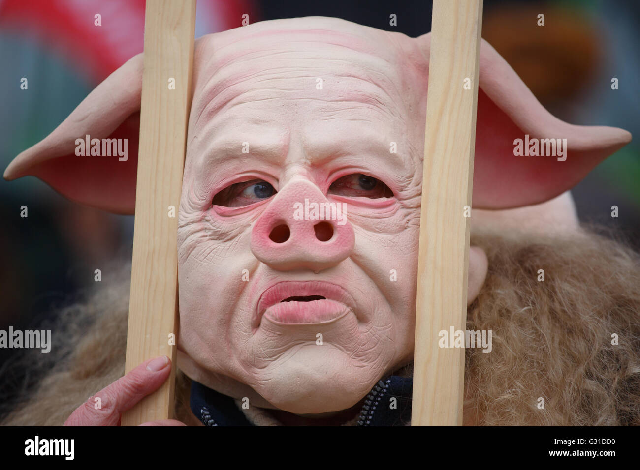 Berlin, Germany, Protest against factory farming Stock Photo