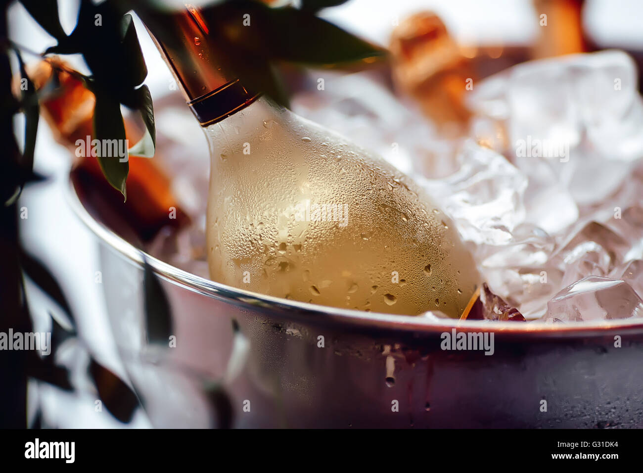 Wine bottle in ice bucket Stock Photo Alamy