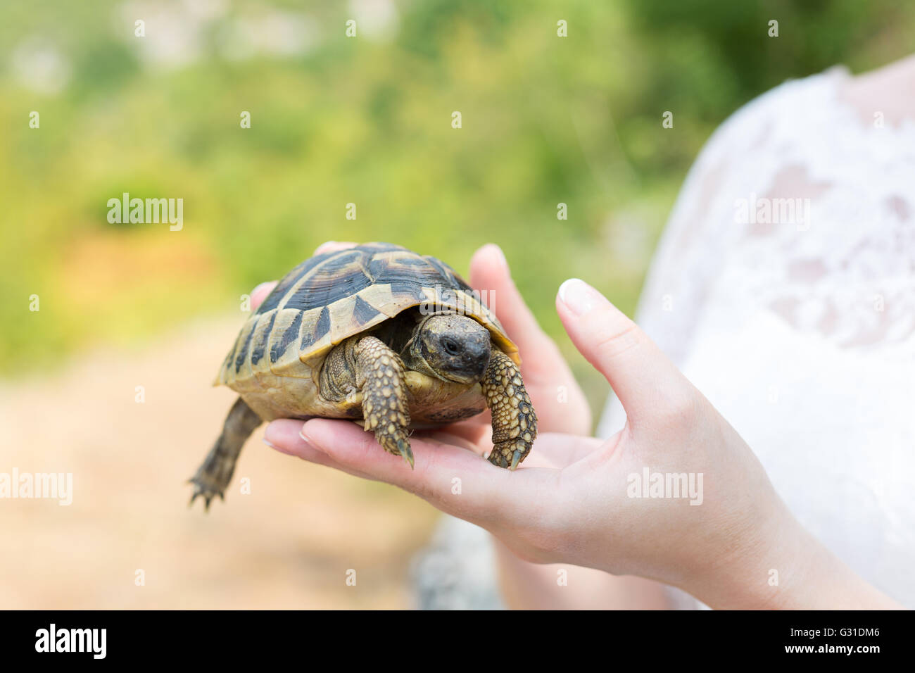 Boy turtle hi-res stock photography and images - Alamy