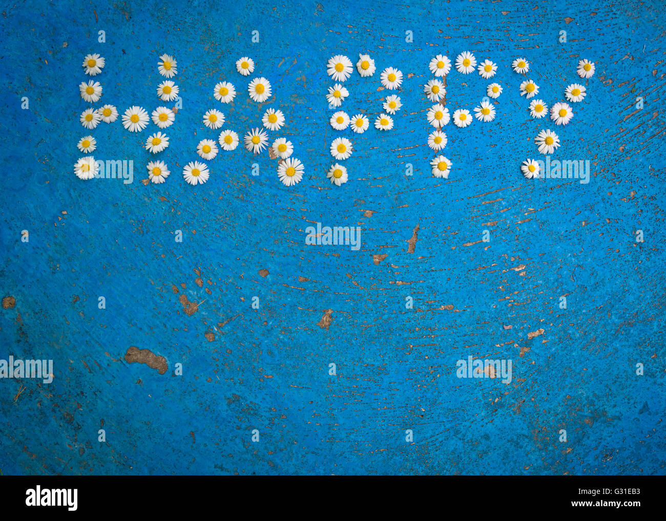 Daisy word hires stock photography and images Alamy