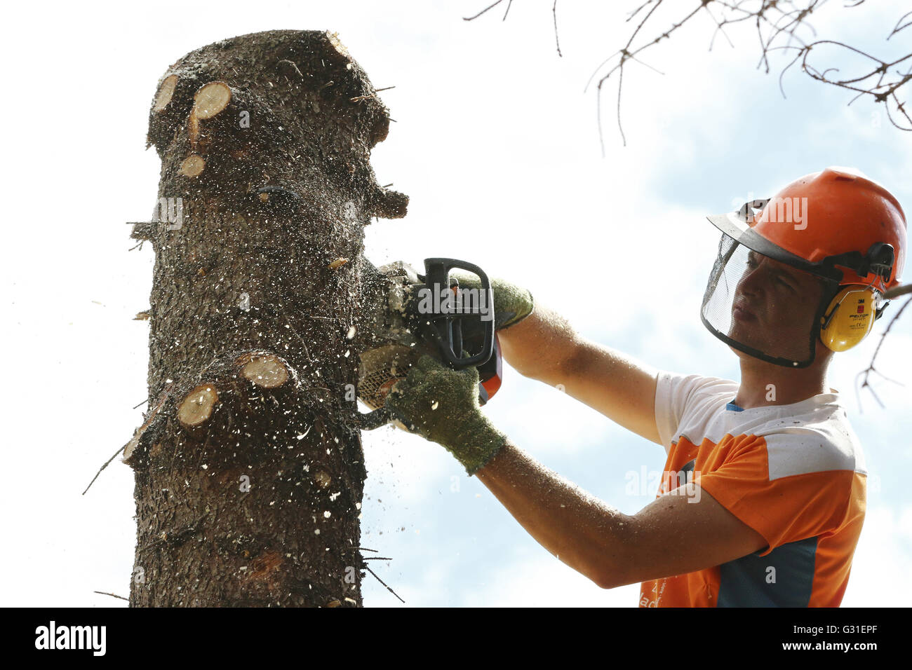 Magdeburg, Germany, Lumberjack splits a tree trunk Stock Photo