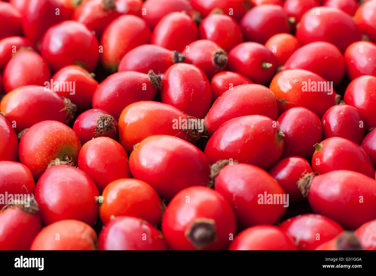 Raw rose hips Stock Photo Alamy