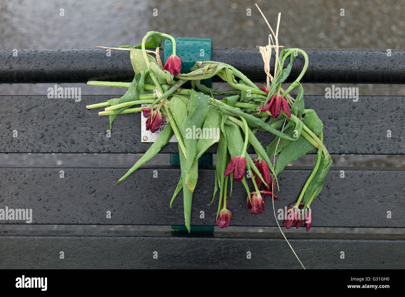 Flowers memorial bench hires stock photography and images Alamy