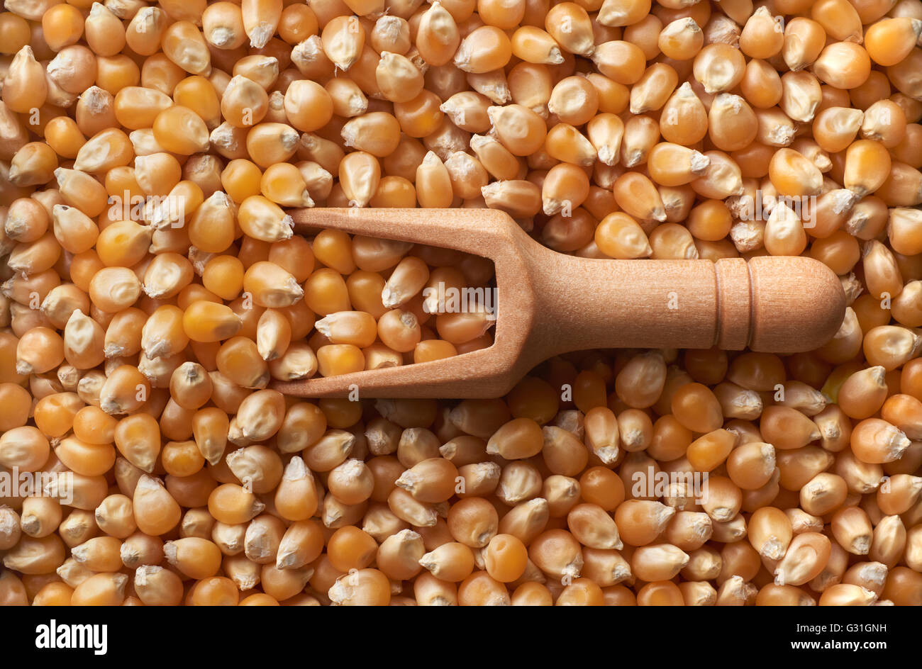 Food ingredients: wooden scoop and dried corn seeds arranged as flat background Stock Photo