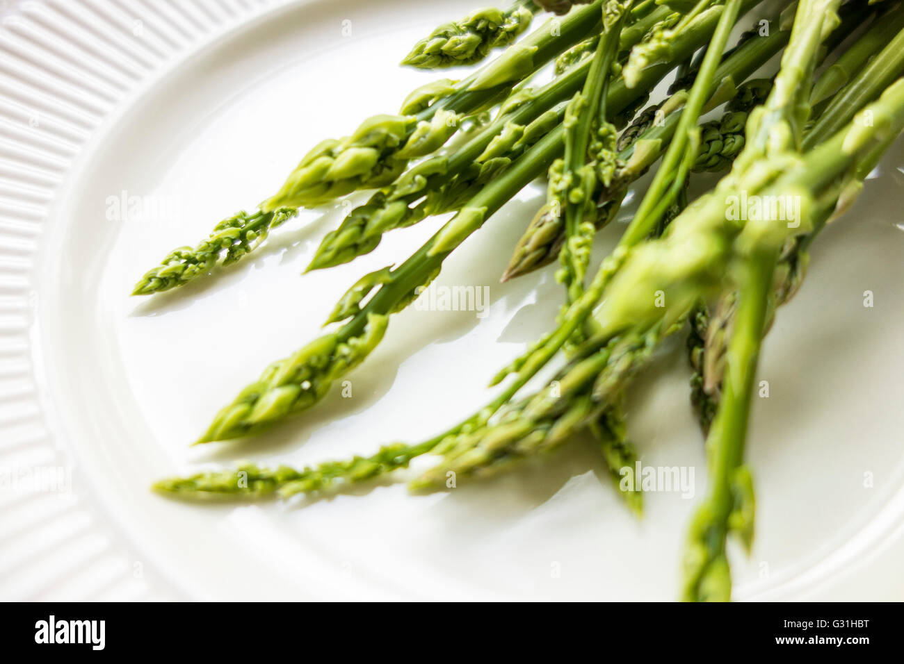 WILD ISTRIAN ASPARAGUS Stock Photo