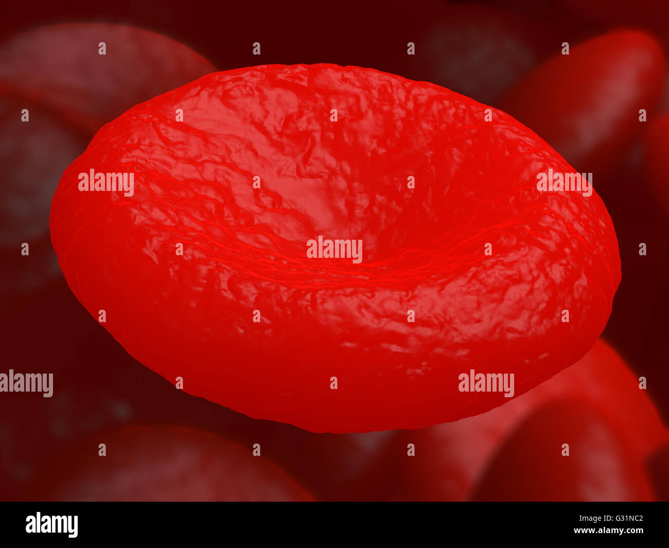 Single red blood cell erythrocyte in interior of arterial or capillary blood vessel. Showing endothelial cells and blood flow or Stock Photo