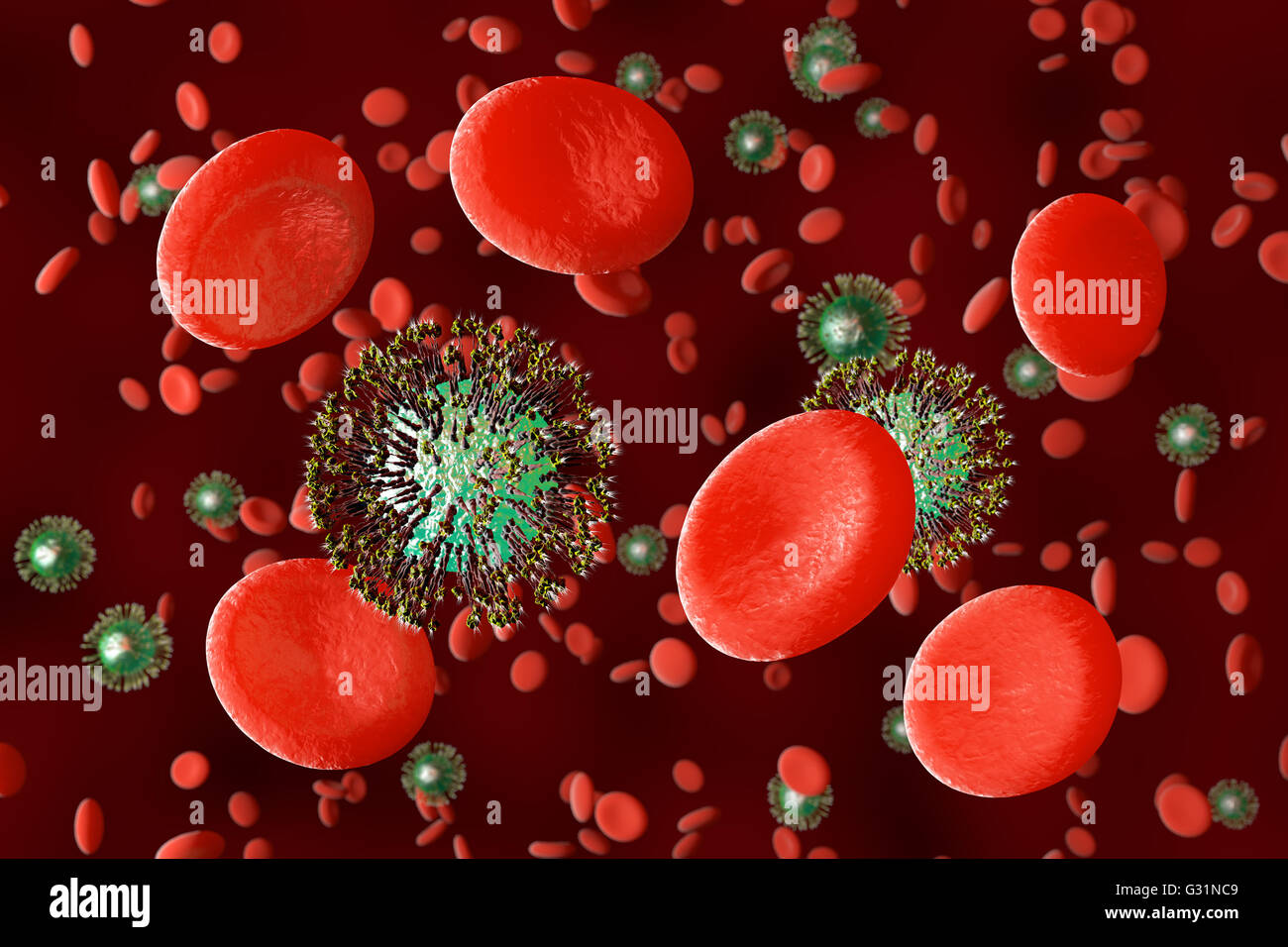 Red blood cells and viruses. 3D illustration Stock Photo