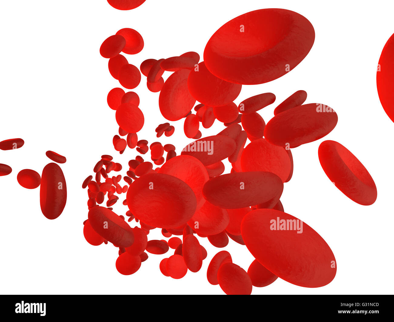 Red blood cells erythrocytes in interior of arterial or capillary blood