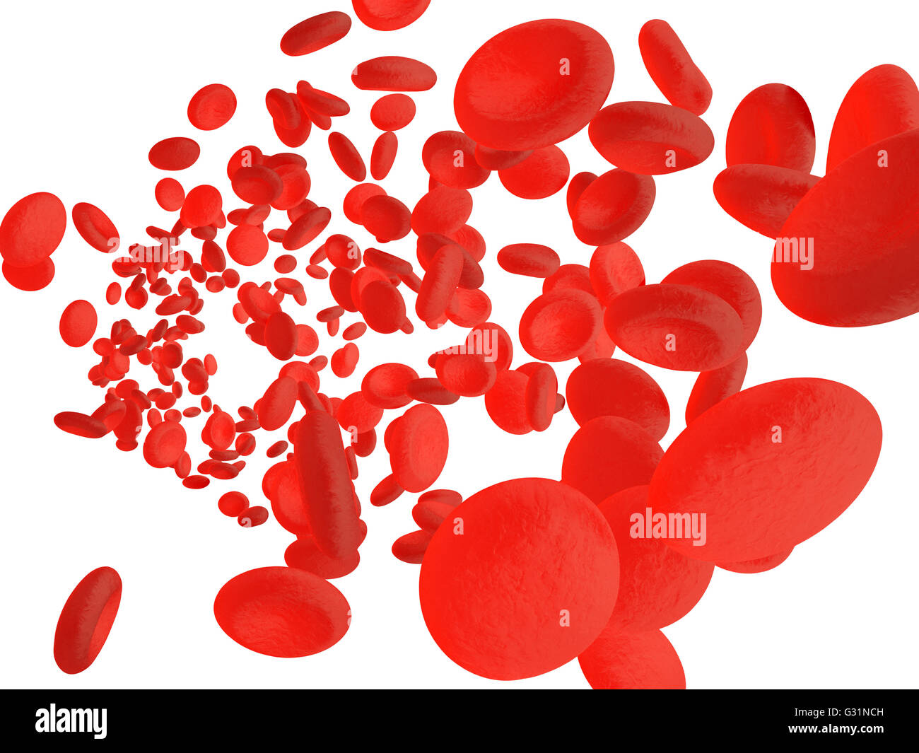 Red blood cells erythrocytes in interior of arterial or capillary blood