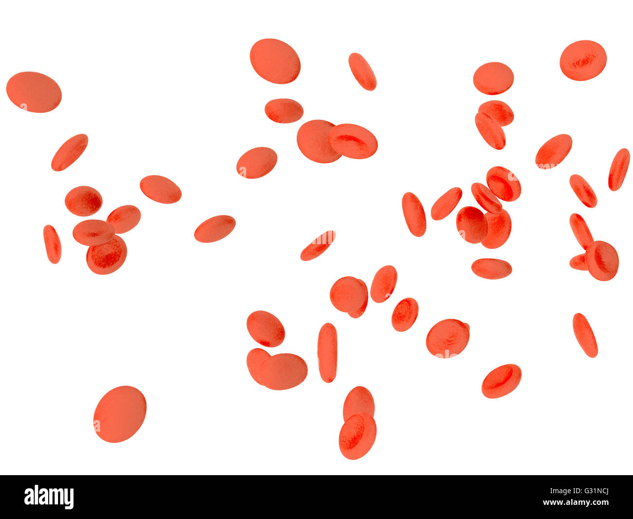 Red blood cells erythrocytes in interior of arterial or capillary blood