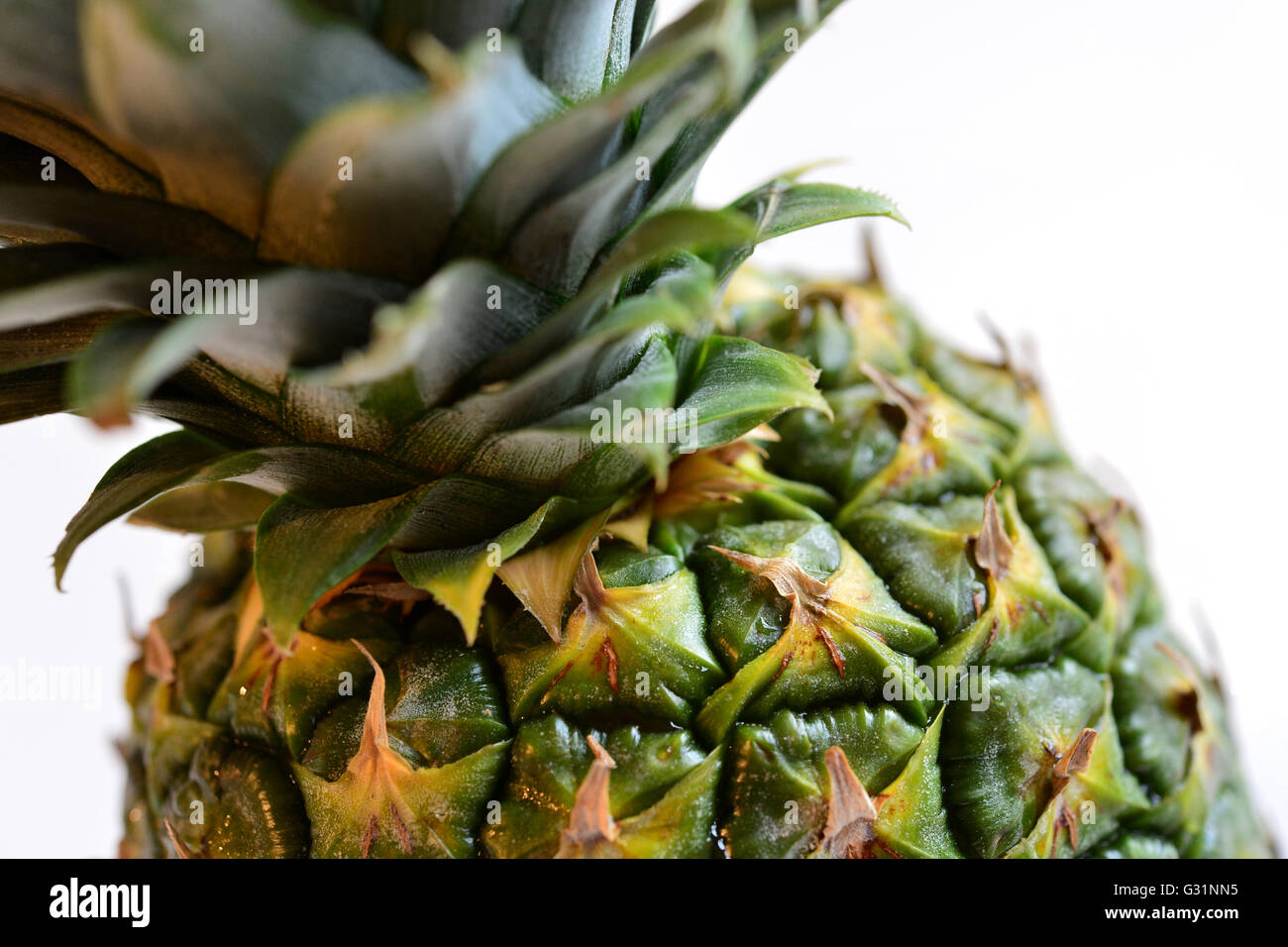 Hannover, Germany, Detail of a pineapple Stock Photo Alamy