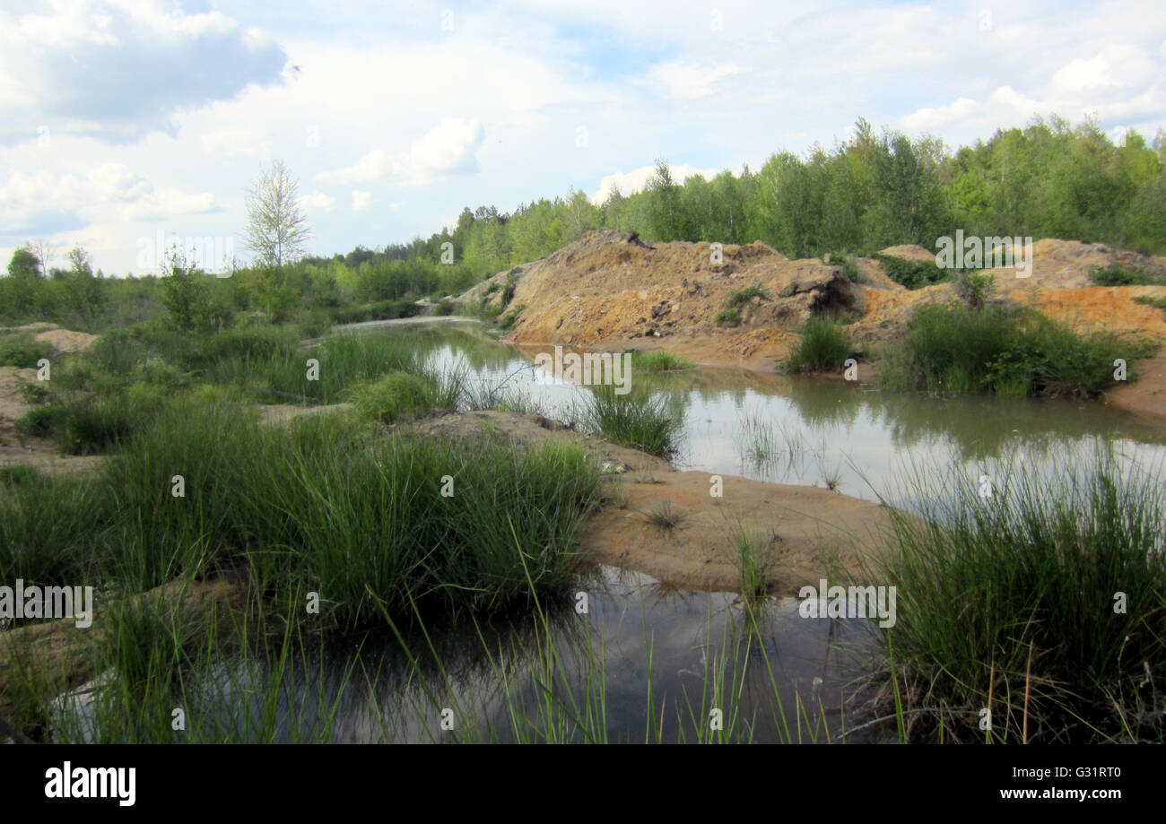 Amber processing hires stock photography and images Alamy