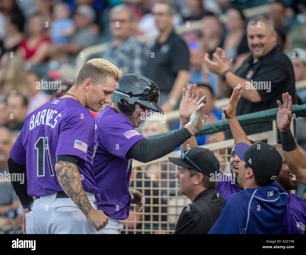 Albuquerque, New Mexico, USA. 3rd June, 2016. Journal.Isotopes' Stephen