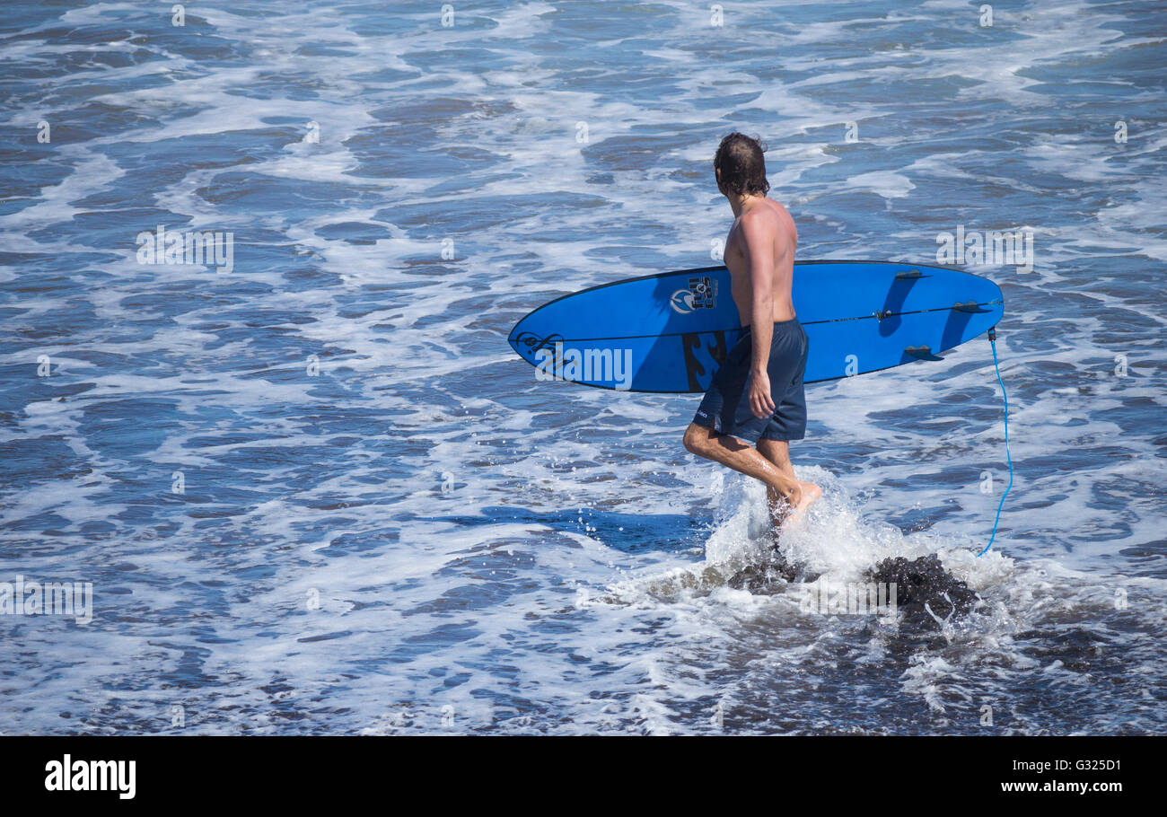 Las Palmas, Gran Canaria, Canary Islands, Spain, 7th June 2016. Weather: A surfer heads out on the city beach in Las Palmas, the capital of Gran Canaria, with the mid morning temperature a balmy 29 degrees Celcius ( 84 Farenheit ) Stock Photo