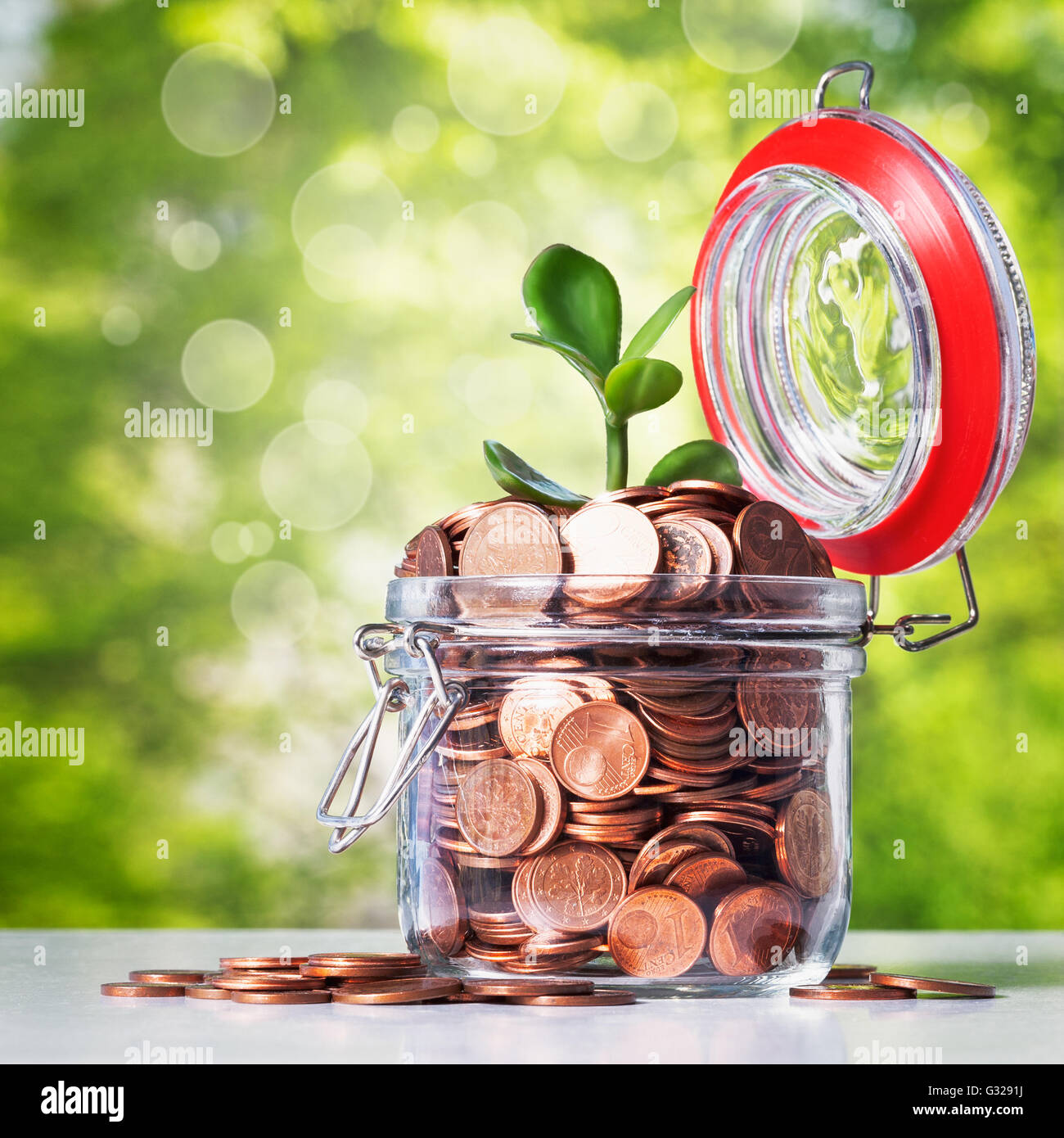 Glass bank jar with coins and growing sprout on green tree background. Saving money concept Stock Photo