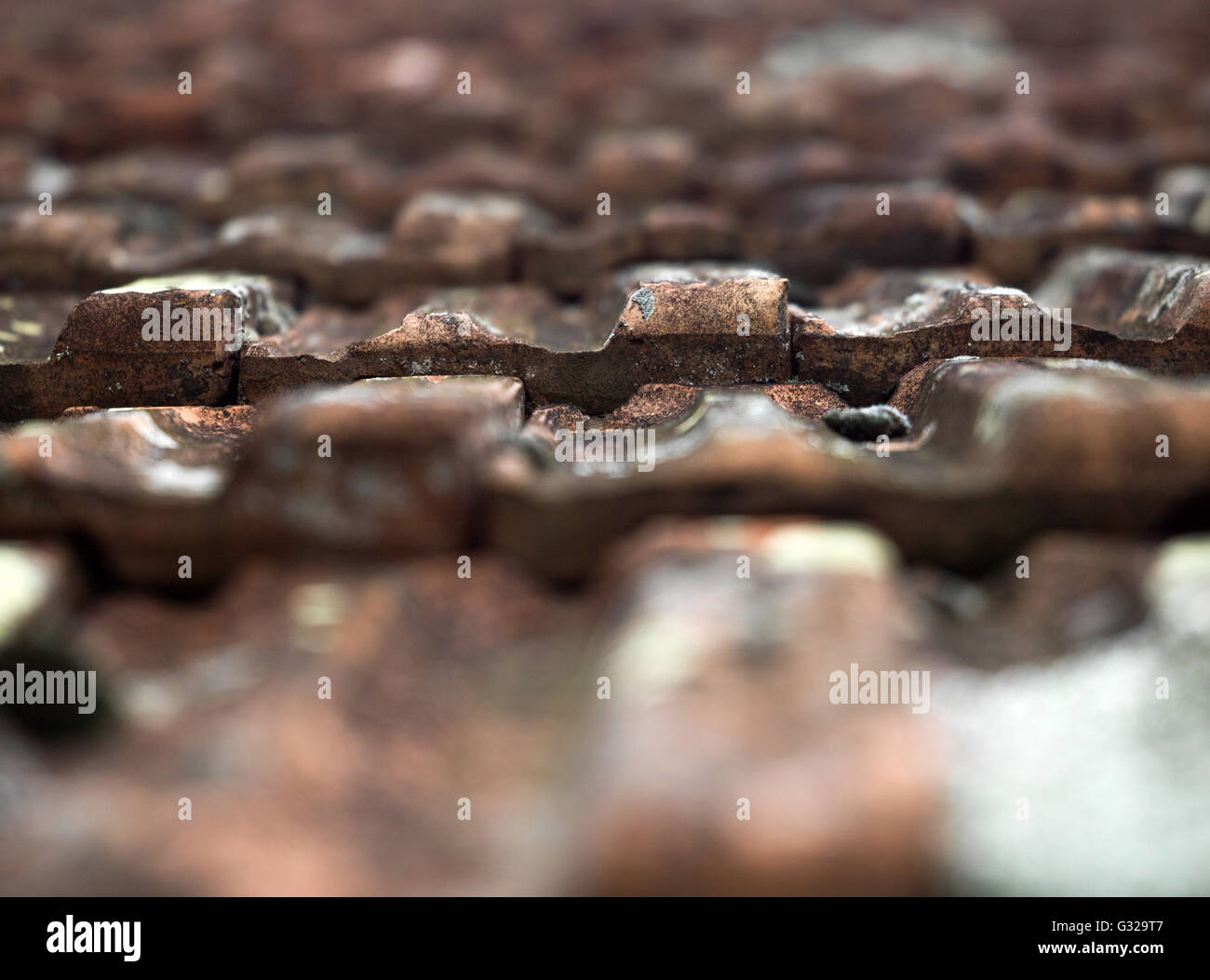 Aged concrete blocks on roof Stock Photo Alamy