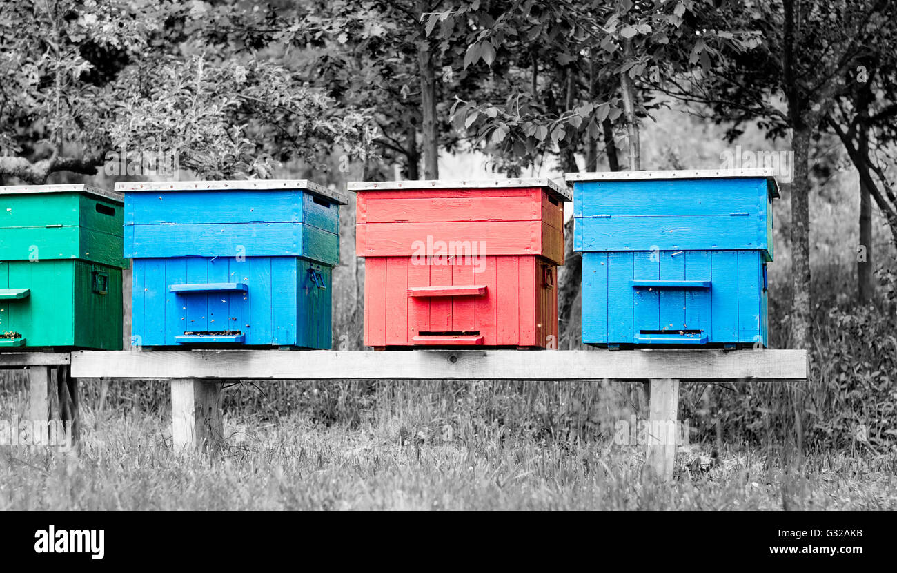 Four colorful painted beehives on a small wooden platform with black and white background. Stock Photo