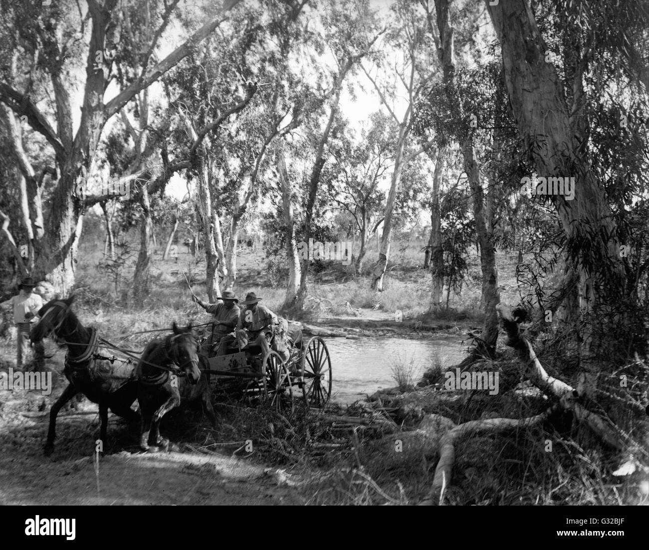 Walter Baldwin Spencer - Crossing Salt Creek near the Roper River, Eastern Arnhem Land, Australia   - Museum Victoria, Carlton Australia Stock Photo