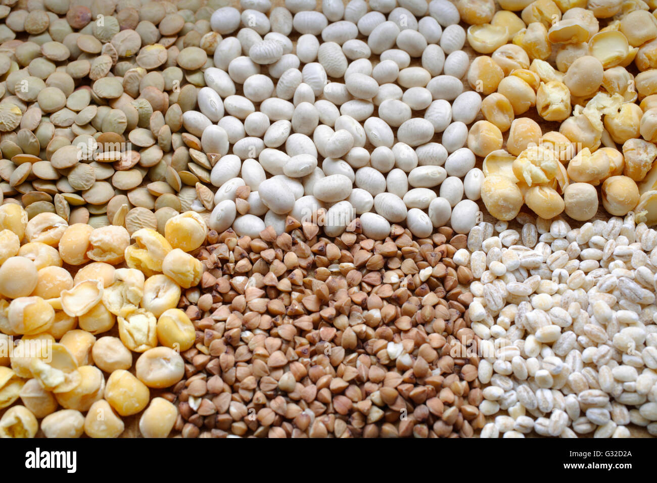 Different Types Of Legumes Lentils White Beans Chickpeas Pearl