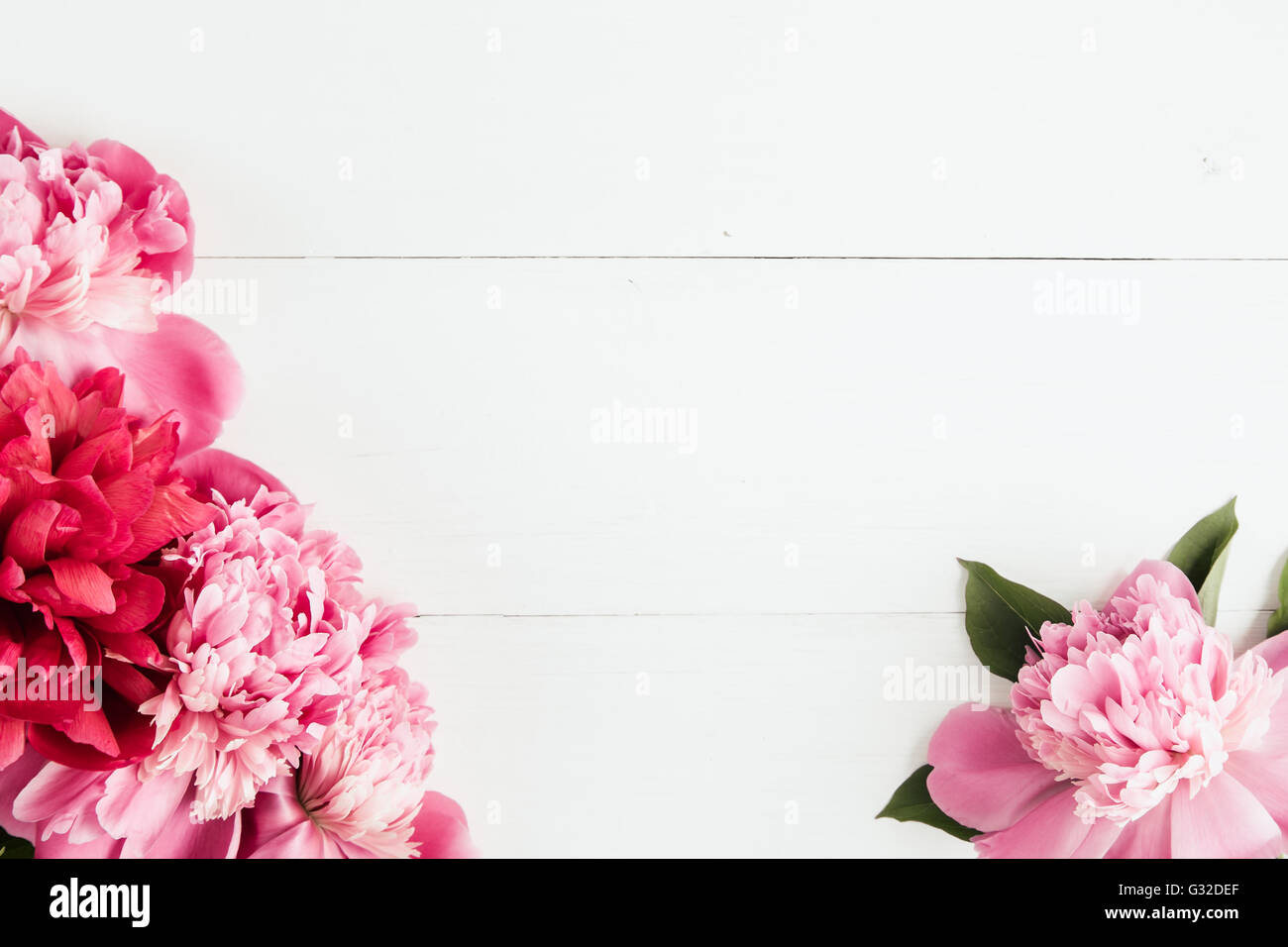 Summer floral frame with pink peonies Stock Photo