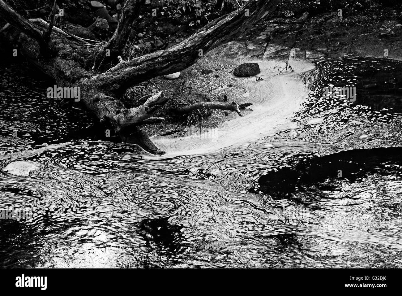 Pollution Black and White Stock Photos & Images - Alamy