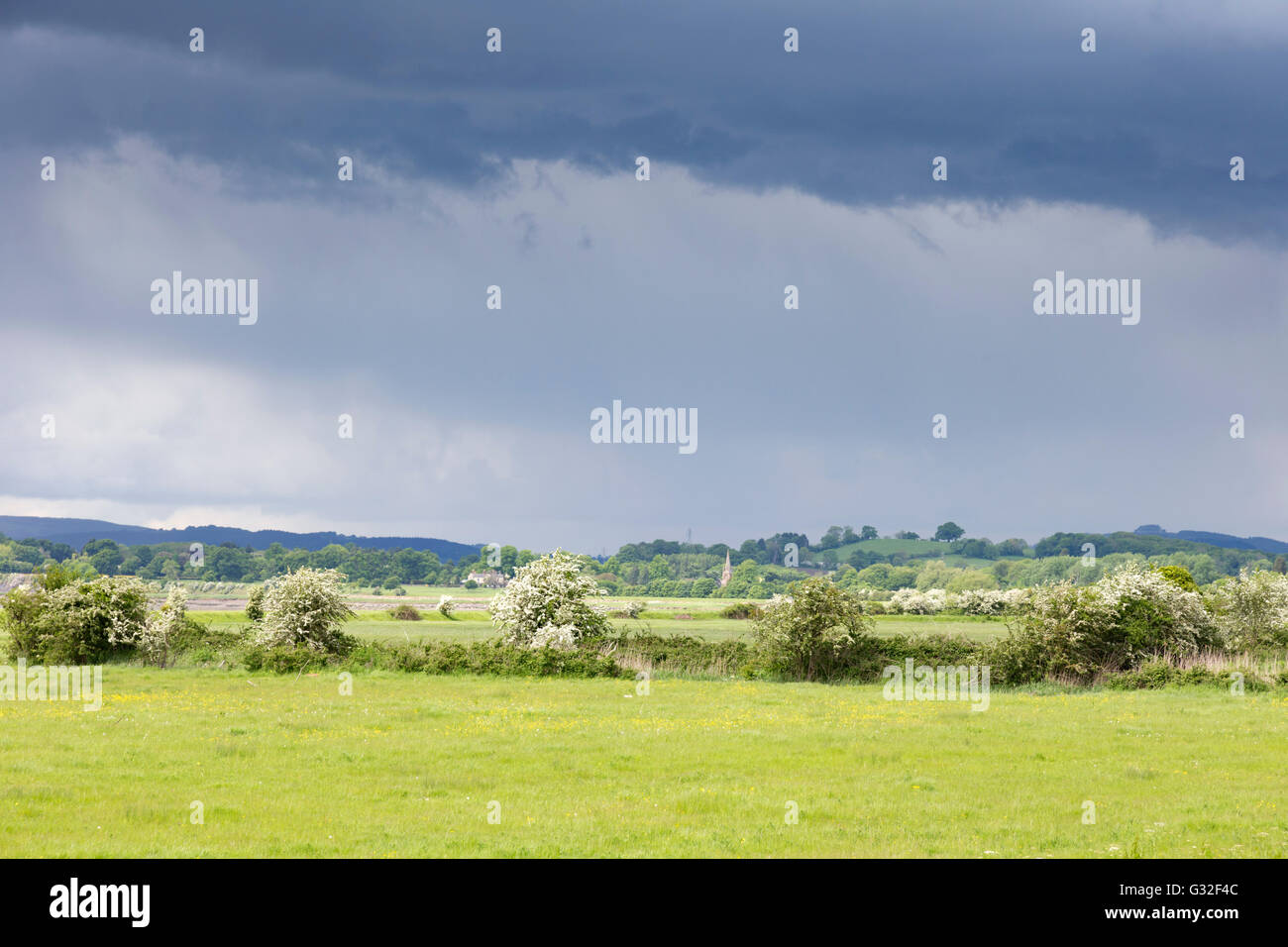 Storm clouds over the Forest of Dean, Gloucestershire, England, UK Stock Photo