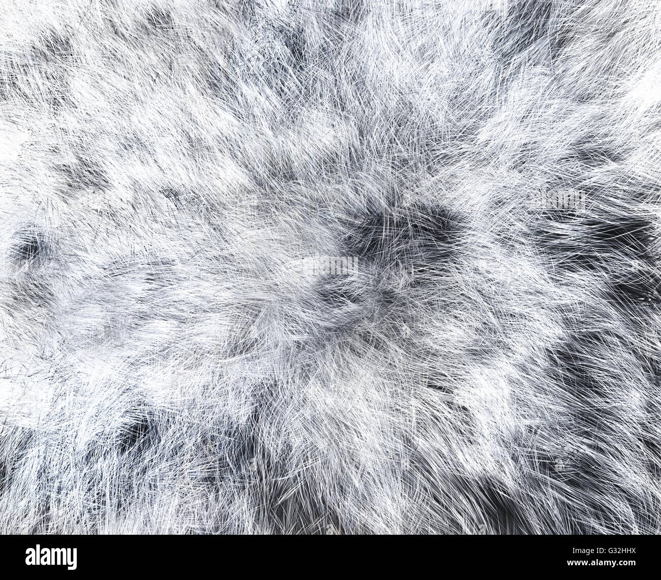 wolf fur texture