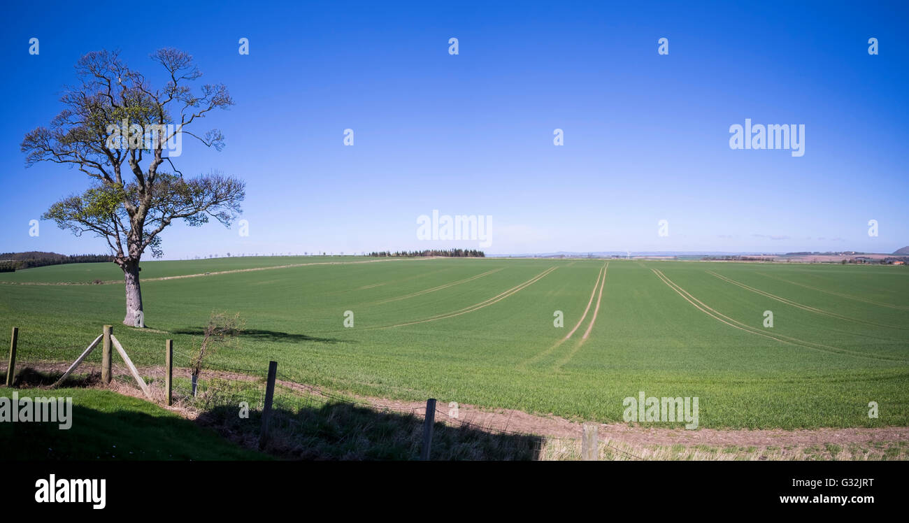 Countryside panorama in East Lothian, Scotland Stock Photo