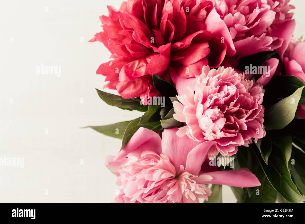 Summer floral background with pink and red peonies Stock Photo