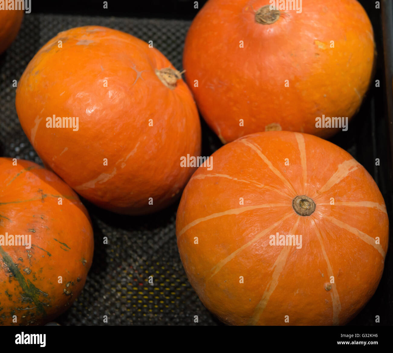 fresh pumpkins on sale in a super market Stock Photo