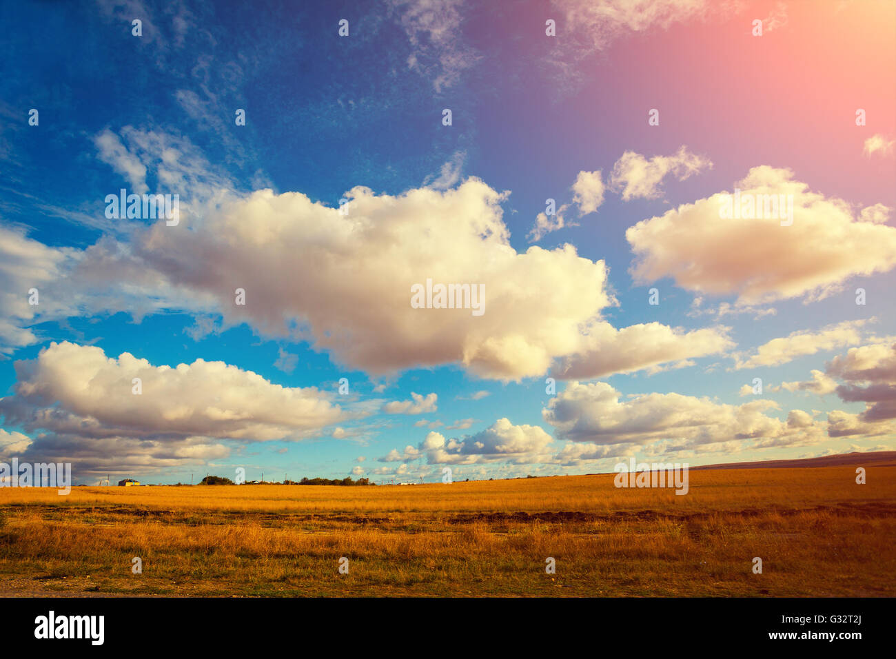 Field with cloudy sky Stock Photo - Alamy