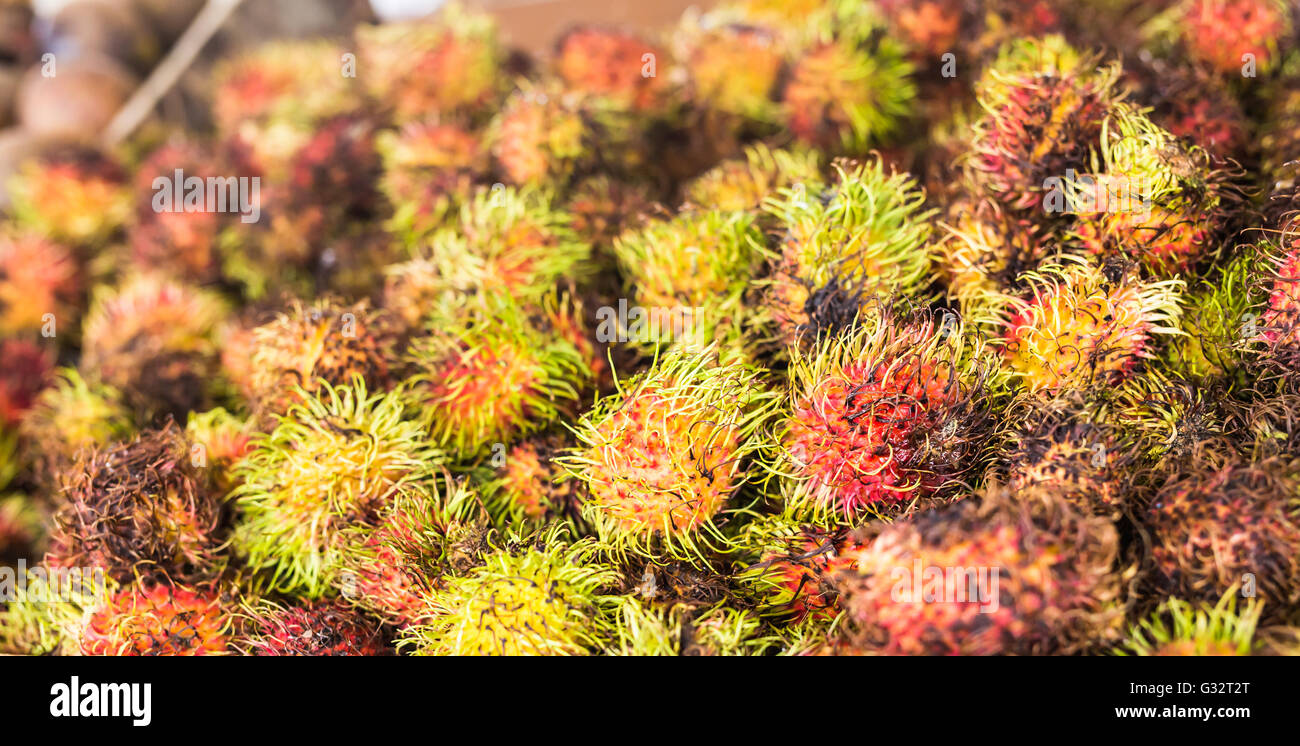 Rambutan orchard hi-res stock photography and images - Alamy