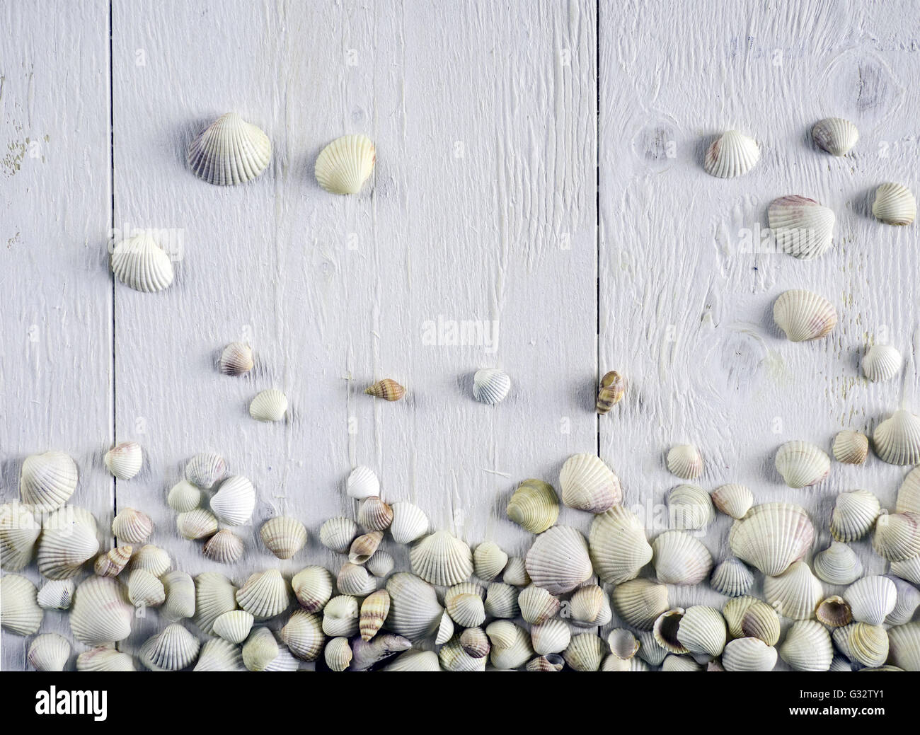 Horizontal arrangement of shells hi-res stock photography and images ...