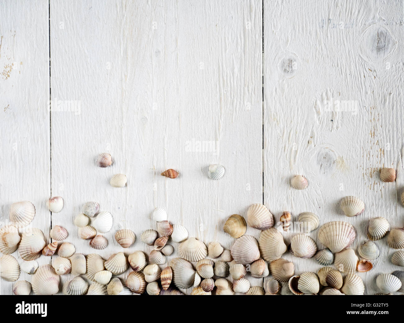 Sea shells on a wooden table Stock Photo