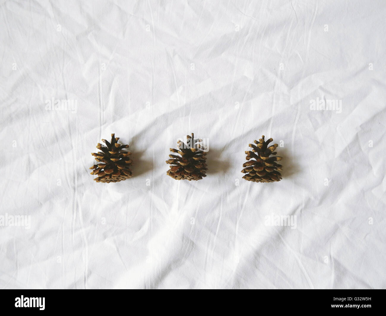 Three pine cones on white background Stock Photo - Alamy