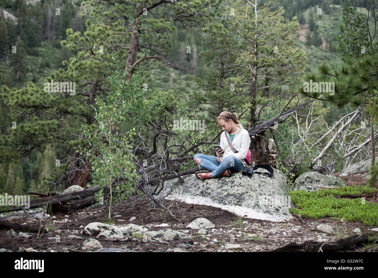 Girl sitting in forest text messaging, Colorado, United States Stock Photo