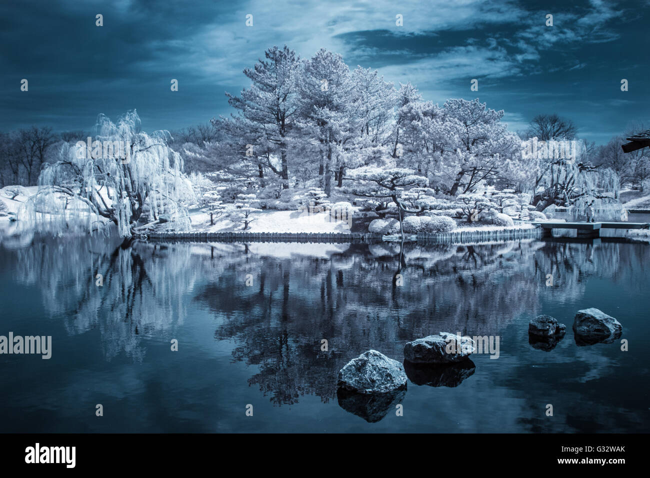 Infrared Forested Island reflected in lake, Illinois, United States Stock Photo
