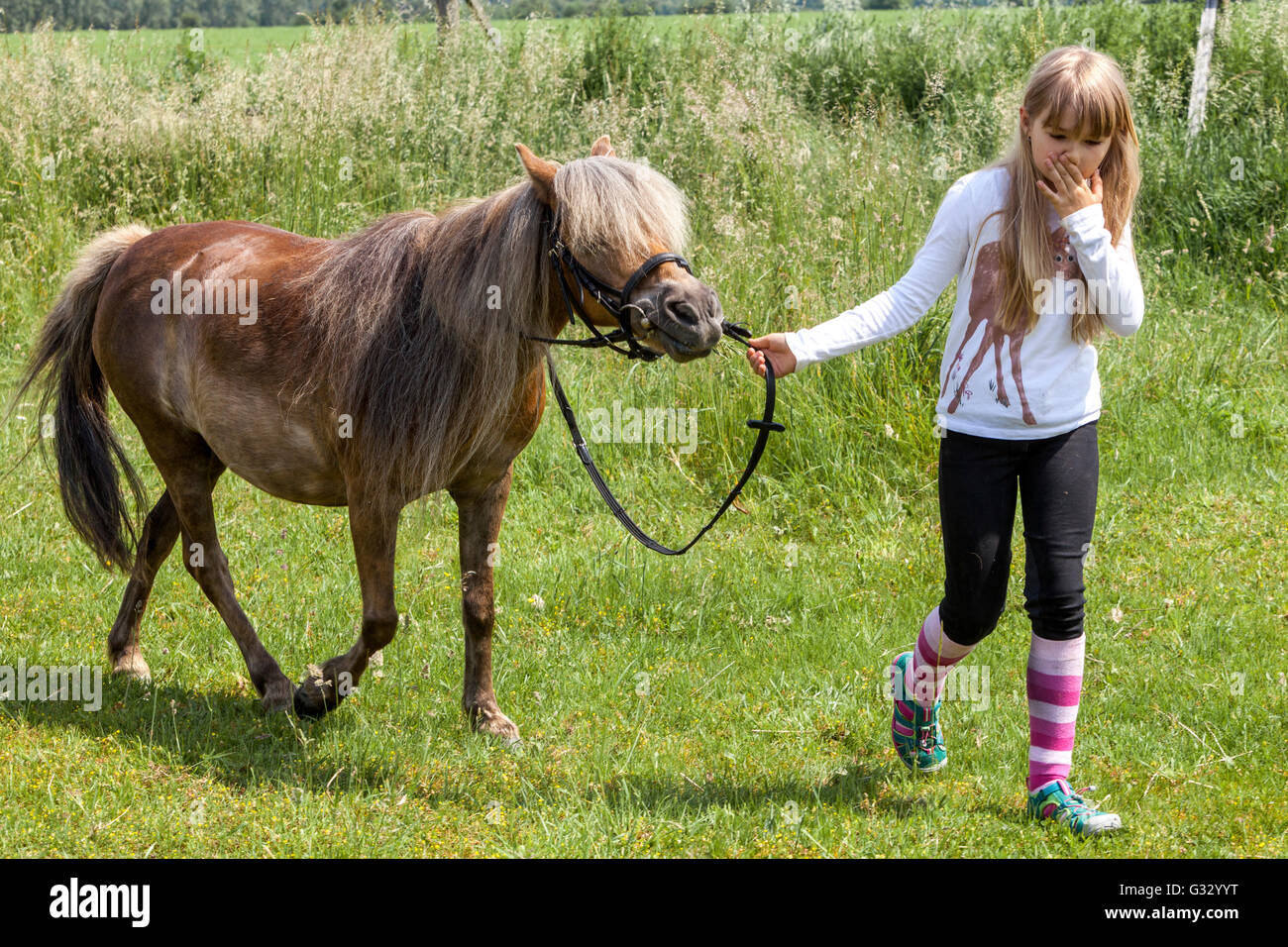 Little girl pony, 6- 7 year old child, lead the pony by the bridle Stock Photo