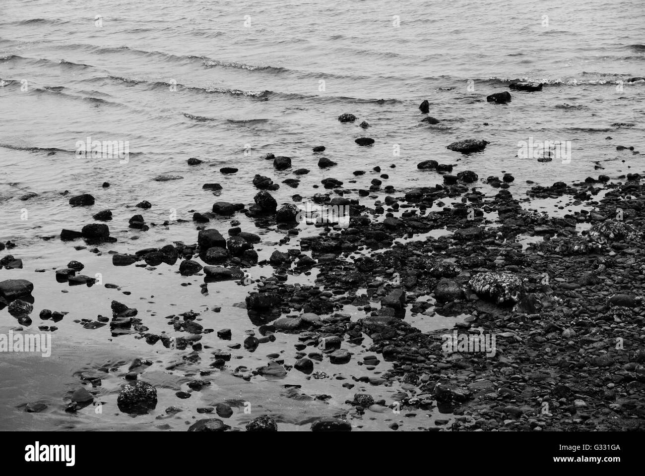 Cluster of rocks at the sea shore in Aoshima (Kyushu, Japan) Stock Photo