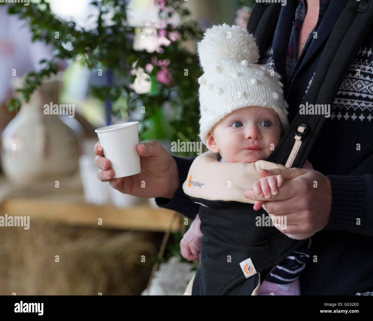 Baby in a front sling and a white bobble hat Stock Photo