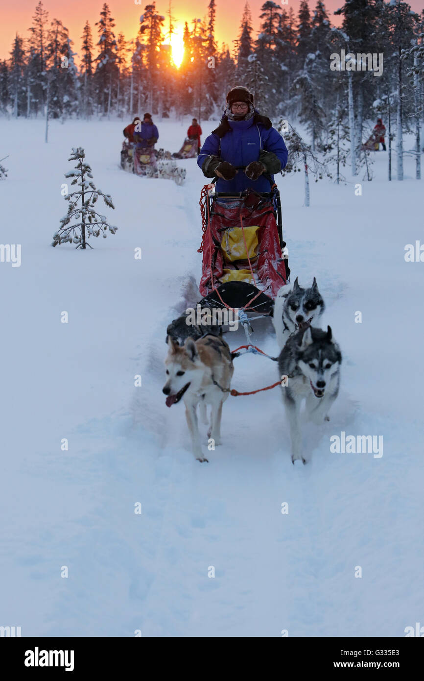 ?k skero, Finland, people make a trip by dogsled Stock Photo