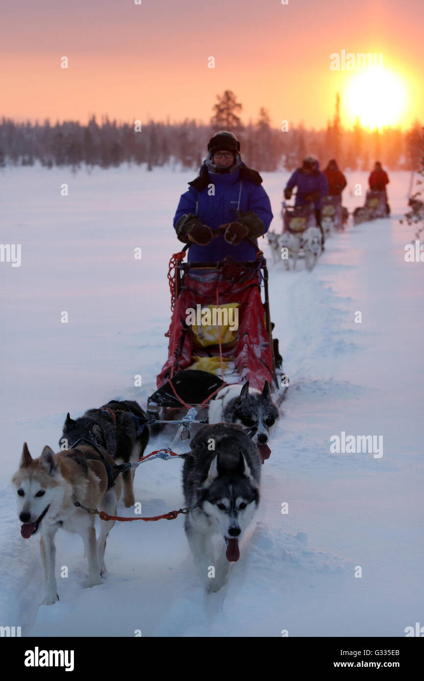 ?k skero, Finland, people make a trip by dogsled Stock Photo