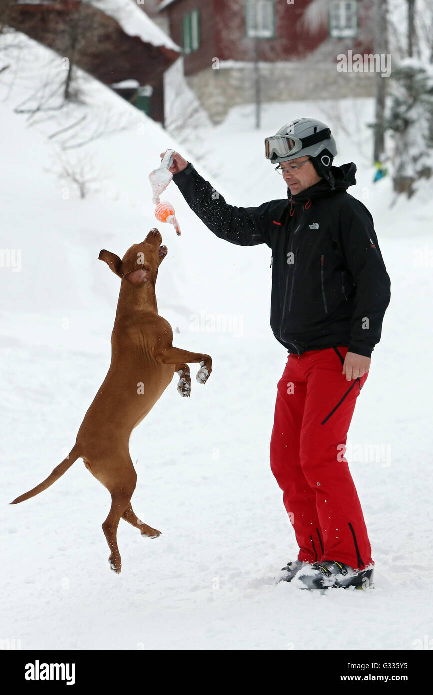 Krippenbrunn, Austria, Man playing with his dog in the snow Stock Photo