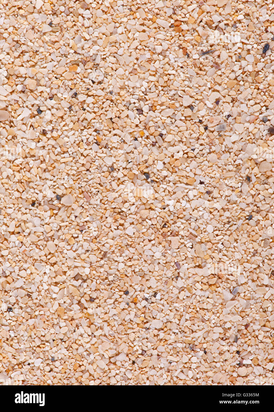 Sand sample of Corralejo, Fuerteventura, Spain Stock Photo