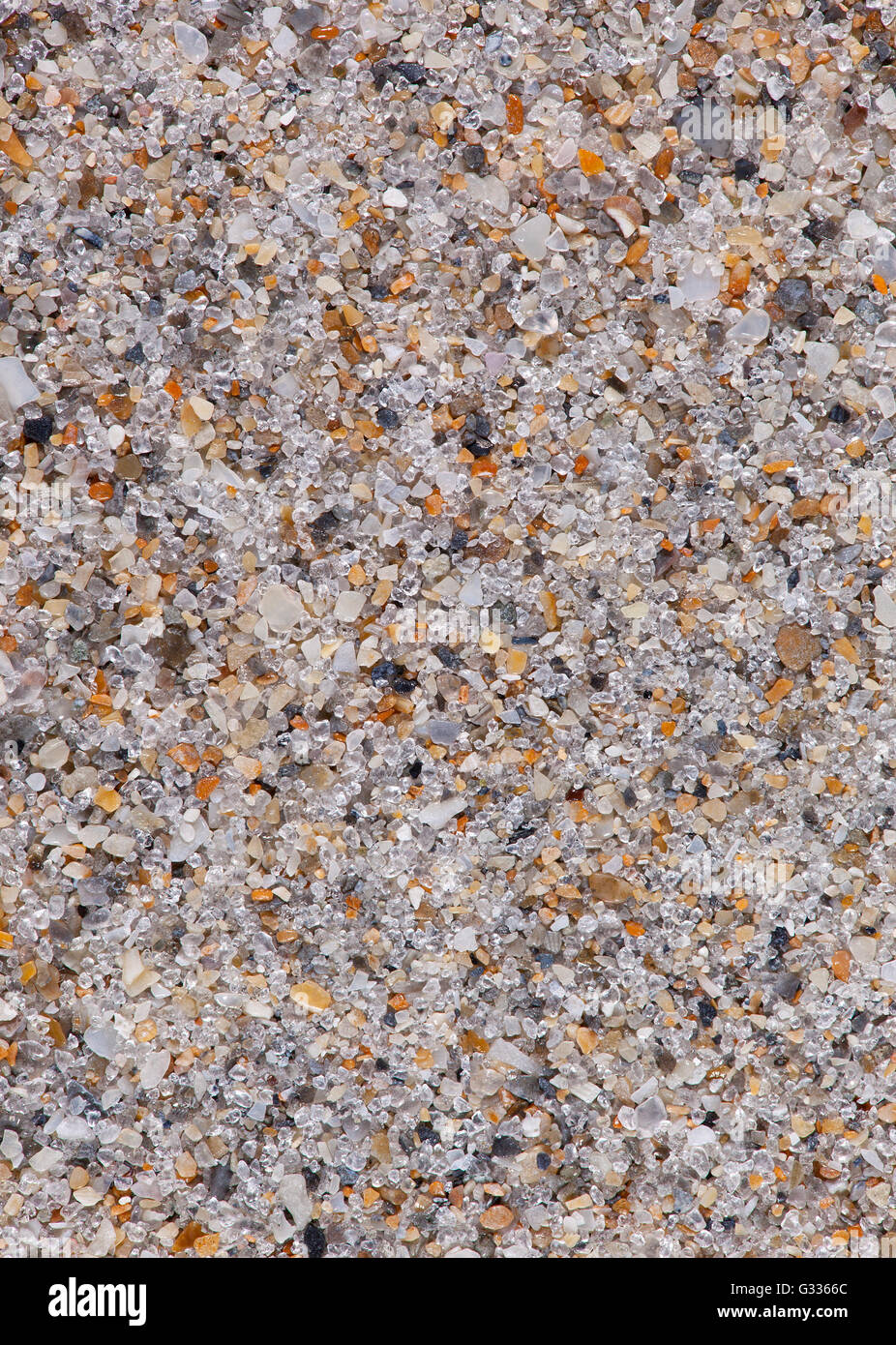 Sand sample from Palm Beach, Florida, USA Stock Photo