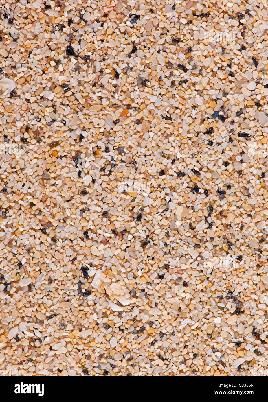 Sand sample from El Gorriones, Risco del Paso, Fuerteventura, Spain Stock Photo