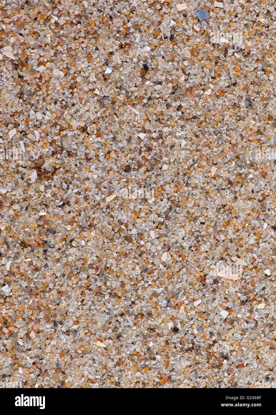 Sand sample from The Hague, Netherlands Stock Photo